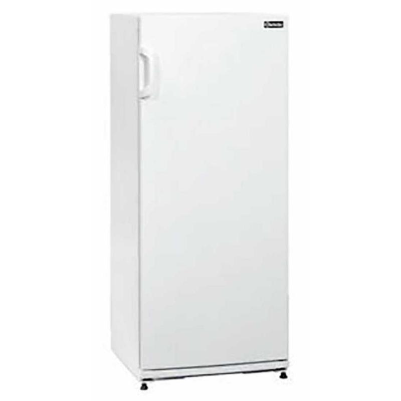 Réfrigérateur à boissons professionnel 267 L