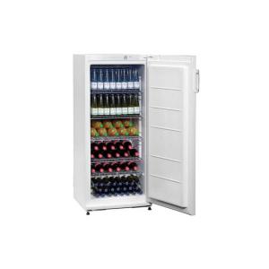 Réfrigérateur à boissons professionnel 267 L