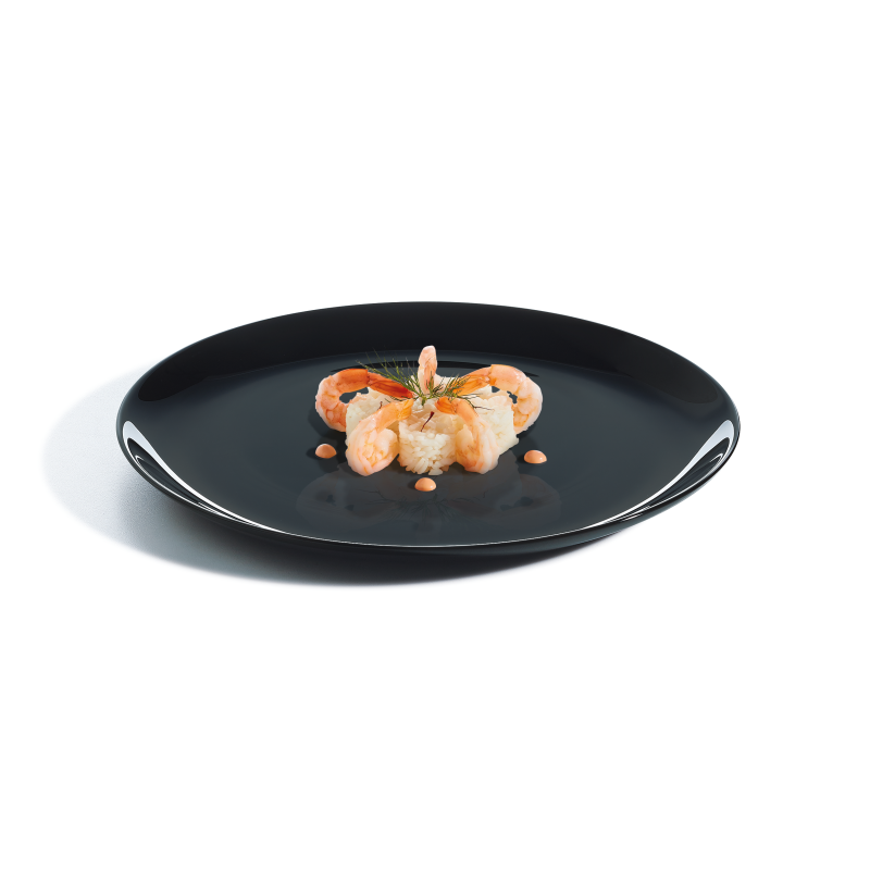 Assiette Evo Black Plate 25cm