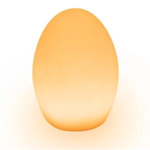 Lampe de Table LED Ø14 H19cm