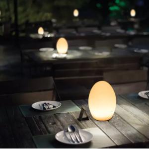 Lampe de Table LED Ø14 H19cm