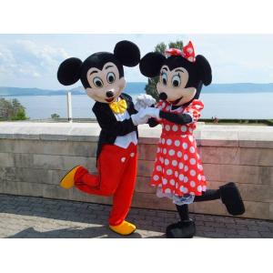 Déguisement Mickey et Minnie