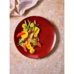 Assiette Darwin Bordeaux Creuse Ø20cm
 