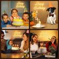 Décor Néon LED "Happy Birthday" GEANT