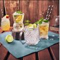 Verre à Cocktail Mojito 38CL