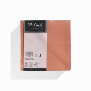 50 Serviettes Ouate BRIQUE 38x38cm
